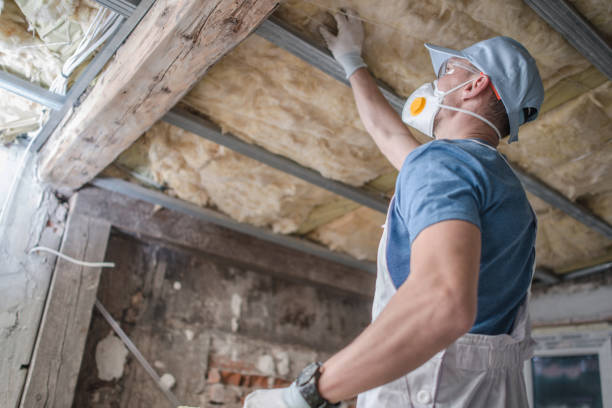 Best Blown-in Insulation in Temecula, CA